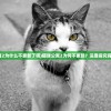 (猫咪公寓2为什么不更新了呢)猫咪公寓2为何不更新？深度探究背后的原因