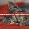 (猫语咖啡苹果下载)猫语咖啡苹果版，体验独特的猫文化与咖啡交融的魅力