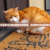 (猫咪作家游戏攻略)猫咪作家游戏，探索猫与创作的奇妙世界