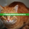 (lol猫猫狗狗)猫猫狗狗冰淇淋任务攻略大全