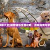 (猫酱物语攻略大全)猫酱物语全面攻略，游戏指南与常见问题解答