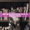 (旧版七猫小说)免费阅读老版本七猫小说，更多经典作品等你发现