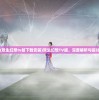 (双生幻想tv版下载安装)双生幻想TV版，深度解析与探讨