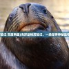 (海洋动物历险记 百度网盘)海洋动物历险记，一场探寻神秘生物的冒险之旅