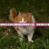 (猫咪旅店游戏)猫咪旅店的奇妙之旅，探索猫的天堂