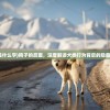 (狗的反面是什么字)狗子的反面，深度解读犬类行为背后的隐藏含义与挑战