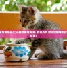 (猫咪的避暑方法是什么)小猫的避暑方法: 夏日炎炎 如何给猫咪创造清凉的生活环境？