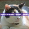 (喵星人大战功夫猫)2024功夫喵星人最新礼包码，抢先领取独家好礼！