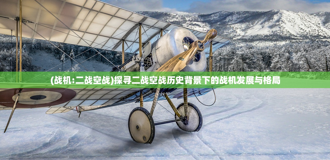 (战机:二战空战)探寻二战空战历史背景下的战机发展与格局