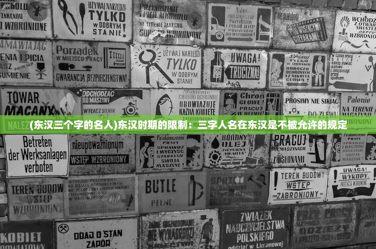 (东汉三个字的名人)东汉时期的限制：三字人名在东汉是不被允许的规定