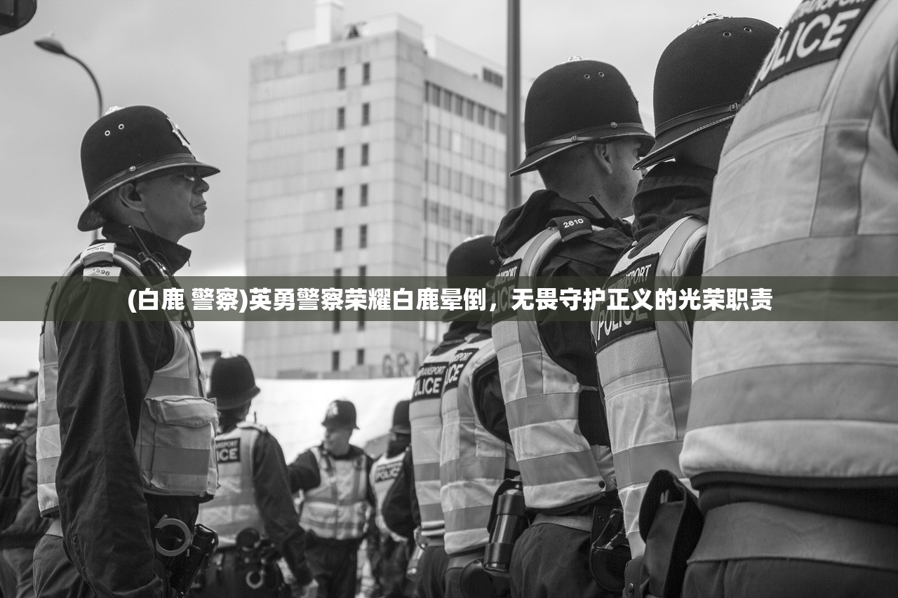 (白鹿 警察)英勇警察荣耀白鹿晕倒，无畏守护正义的光荣职责