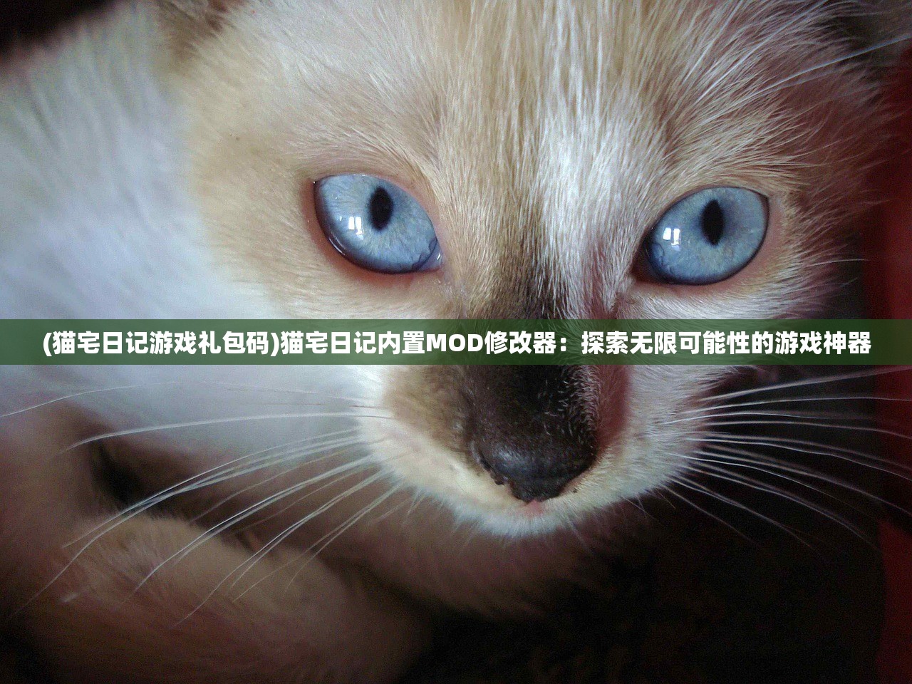 (猫宅日记游戏礼包码)猫宅日记内置MOD修改器：探索无限可能性的游戏神器