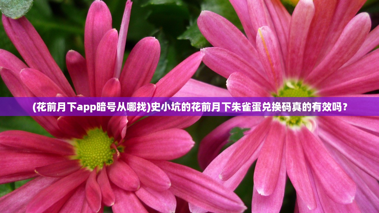 (花前月下app暗号从哪找)史小坑的花前月下朱雀蛋兑换码真的有效吗？