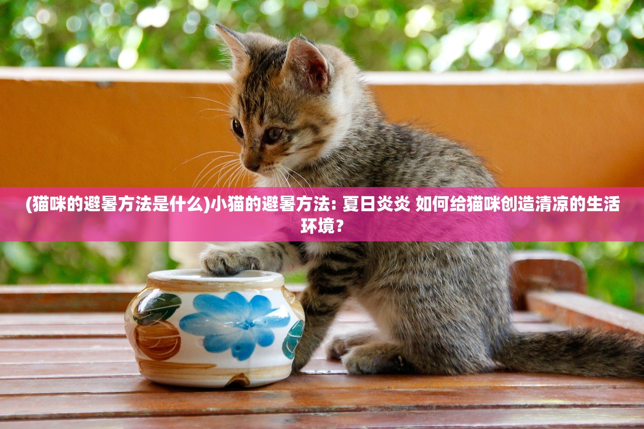 (猫咪的避暑方法是什么)小猫的避暑方法: 夏日炎炎 如何给猫咪创造清凉的生活环境？