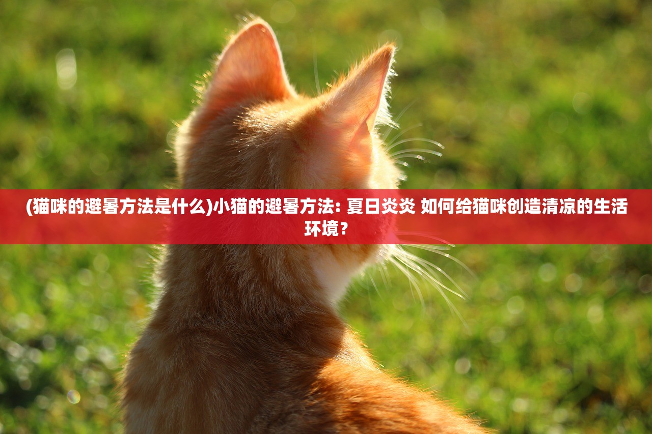 (猫咪的避暑方法是什么)小猫的避暑方法: 夏日炎炎 如何给猫咪创造清凉的生活环境？