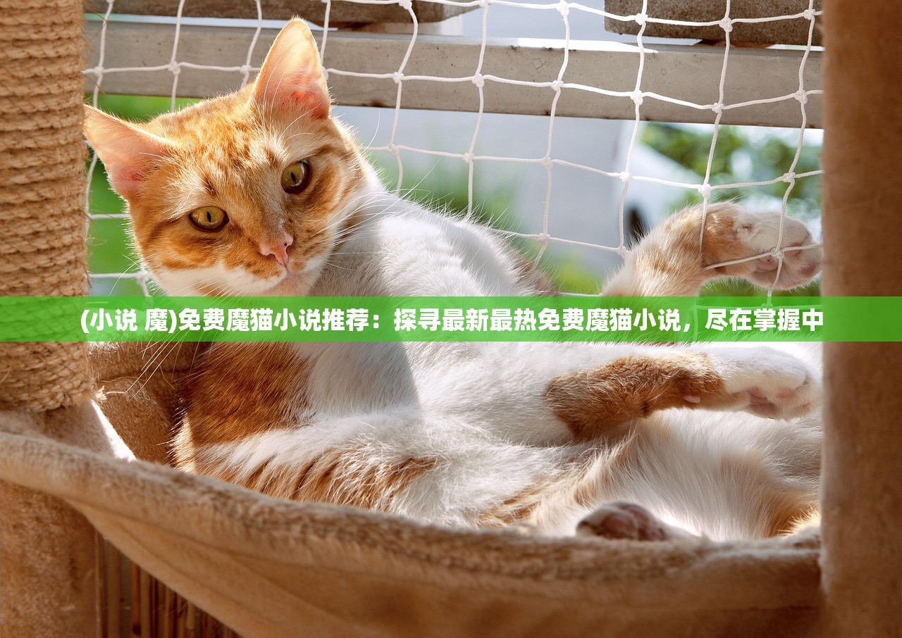 (小说 魔)免费魔猫小说推荐：探寻最新最热免费魔猫小说，尽在掌握中