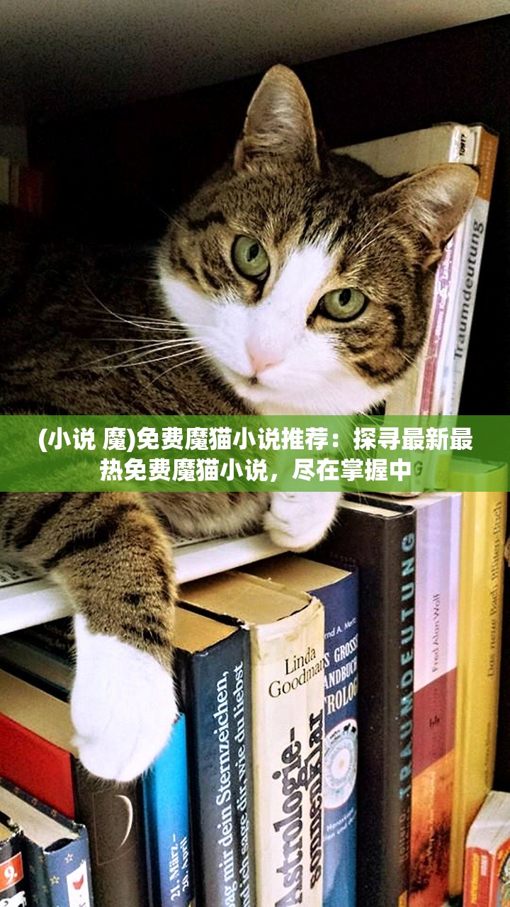 (小说 魔)免费魔猫小说推荐：探寻最新最热免费魔猫小说，尽在掌握中