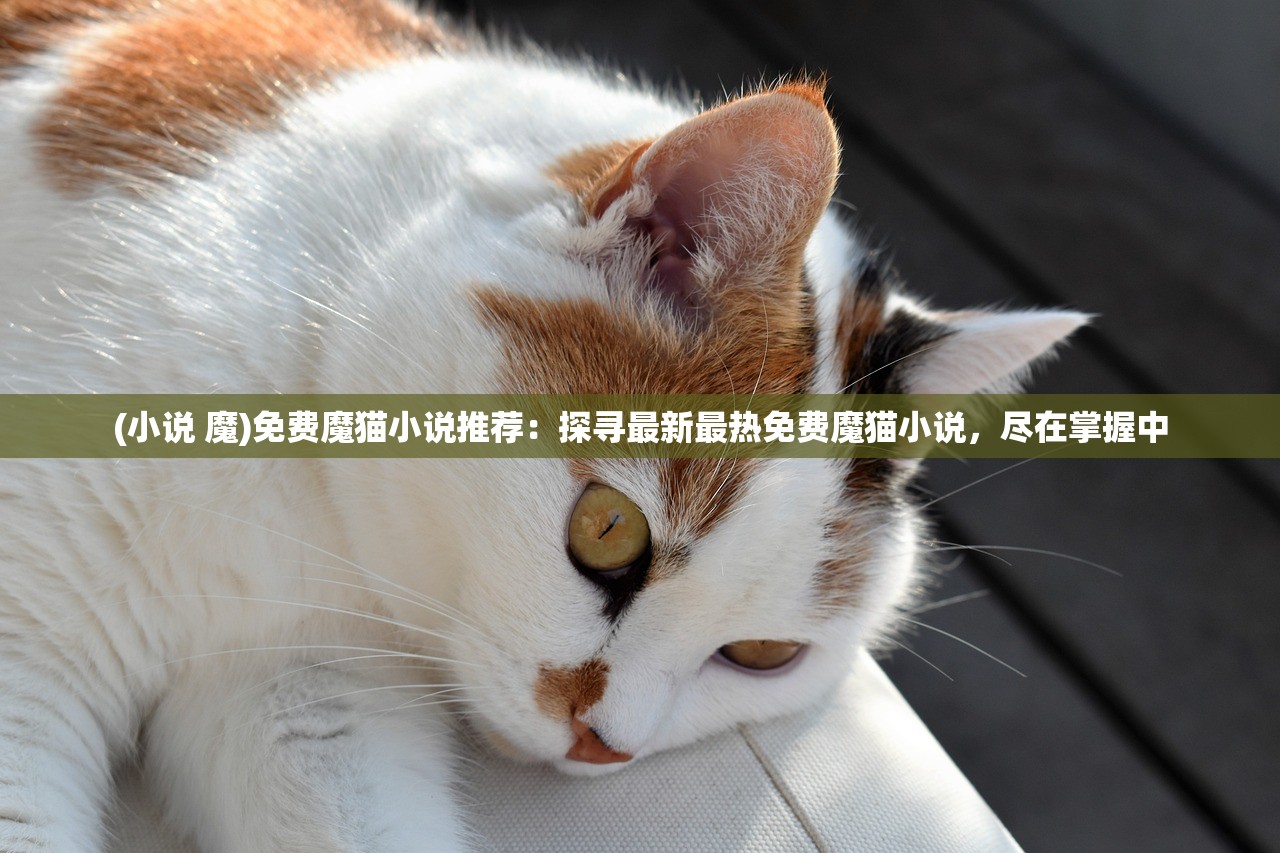 (小说 魔)免费魔猫小说推荐：探寻最新最热免费魔猫小说，尽在掌握中