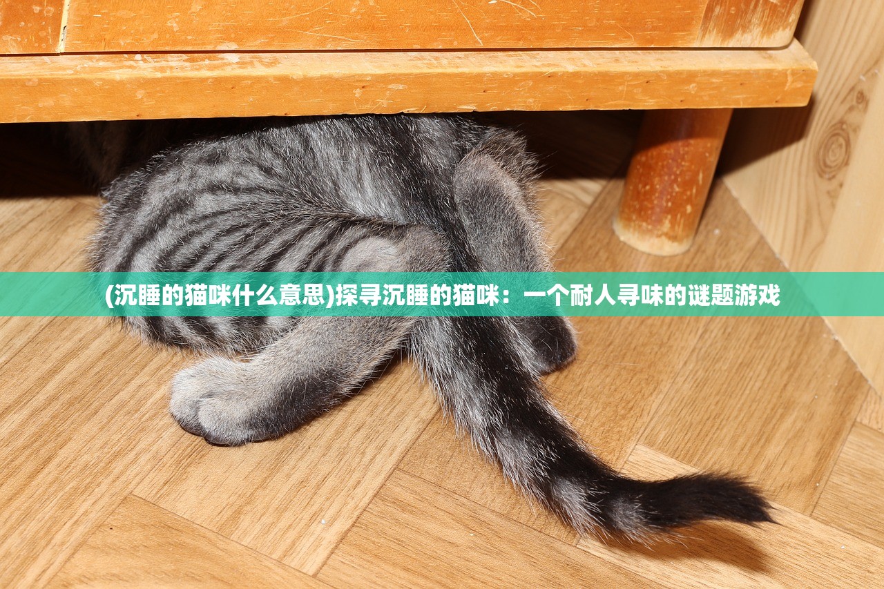 (沉睡的猫咪什么意思)探寻沉睡的猫咪：一个耐人寻味的谜题游戏