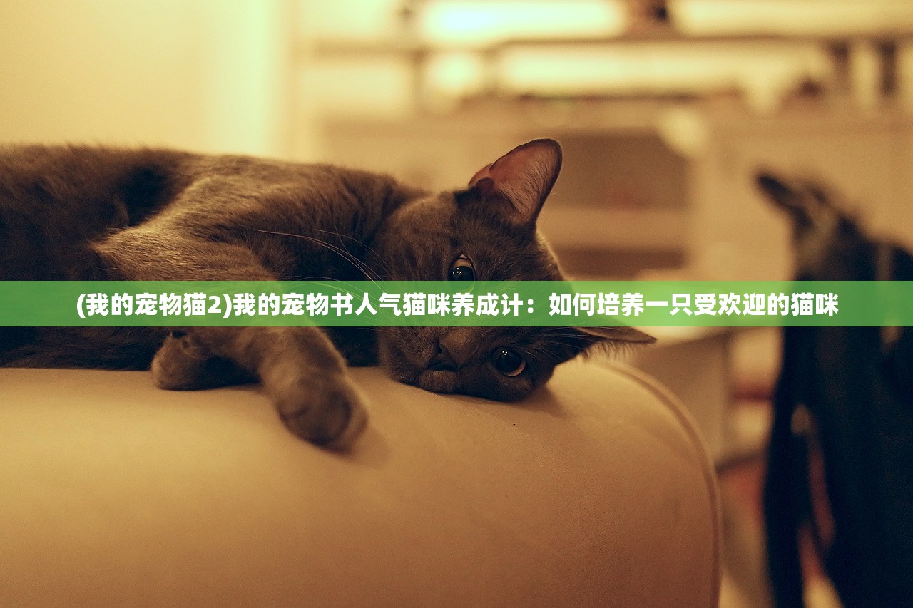 (我的宠物猫2)我的宠物书人气猫咪养成计：如何培养一只受欢迎的猫咪