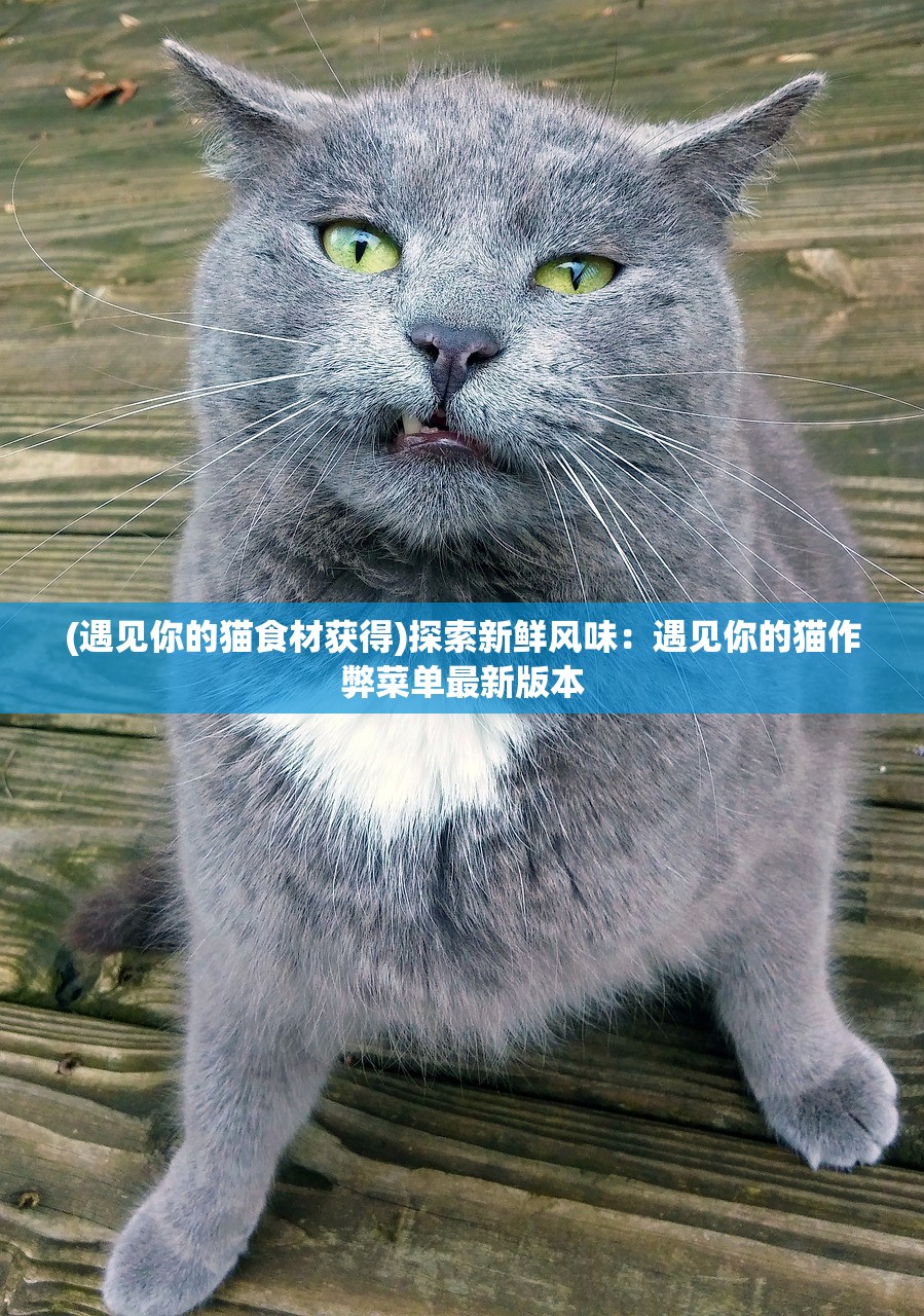 (遇见你的猫食材获得)探索新鲜风味：遇见你的猫作弊菜单最新版本