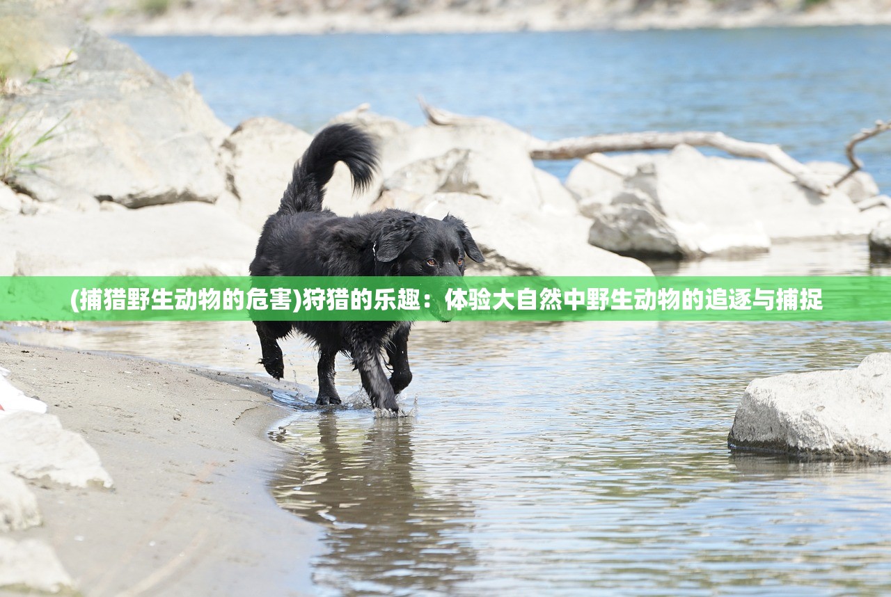 (捕猎野生动物的危害)狩猎的乐趣：体验大自然中野生动物的追逐与捕捉