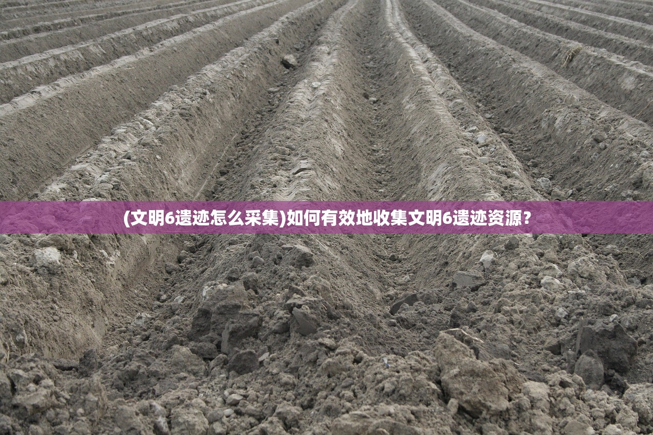 新澳门彩4949历史记录|决策资料解释落实_iShop7.894