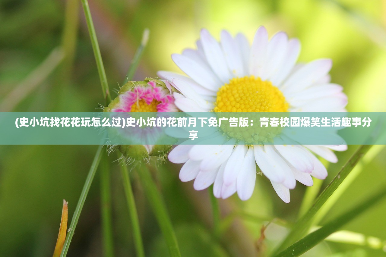 (史小坑找花花玩怎么过)史小坑的花前月下免广告版：青春校园爆笑生活趣事分享