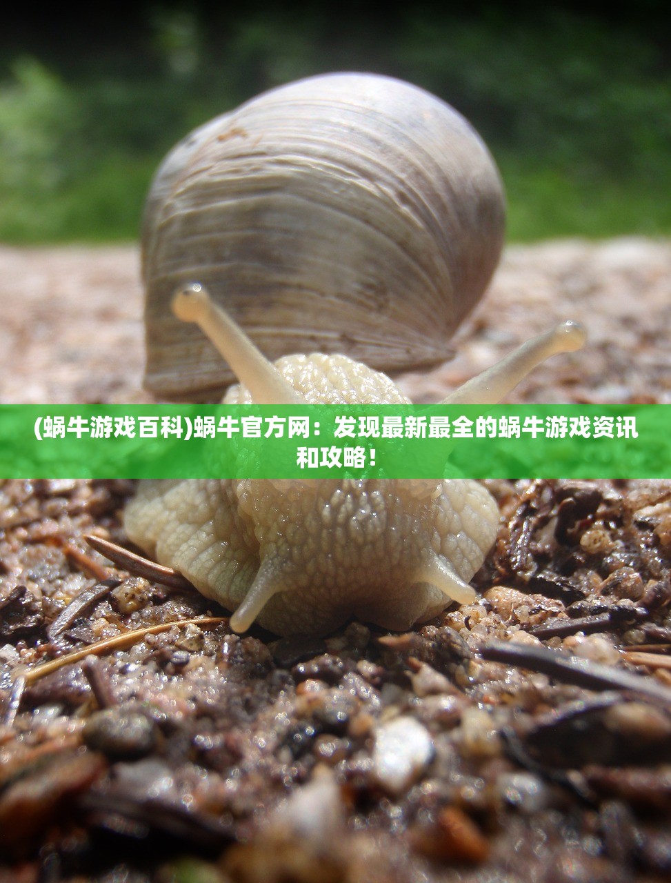 (蜗牛游戏百科)蜗牛官方网：发现最新最全的蜗牛游戏资讯和攻略！