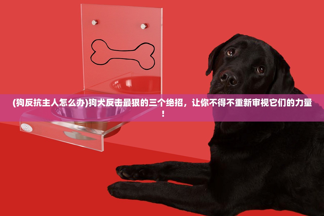 (狗反抗主人怎么办)狗犬反击最狠的三个绝招，让你不得不重新审视它们的力量！