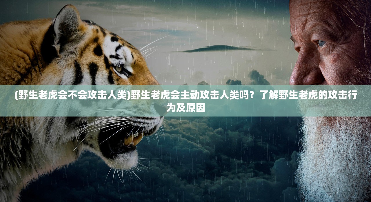 (野生老虎会不会攻击人类)野生老虎会主动攻击人类吗？了解野生老虎的攻击行为及原因