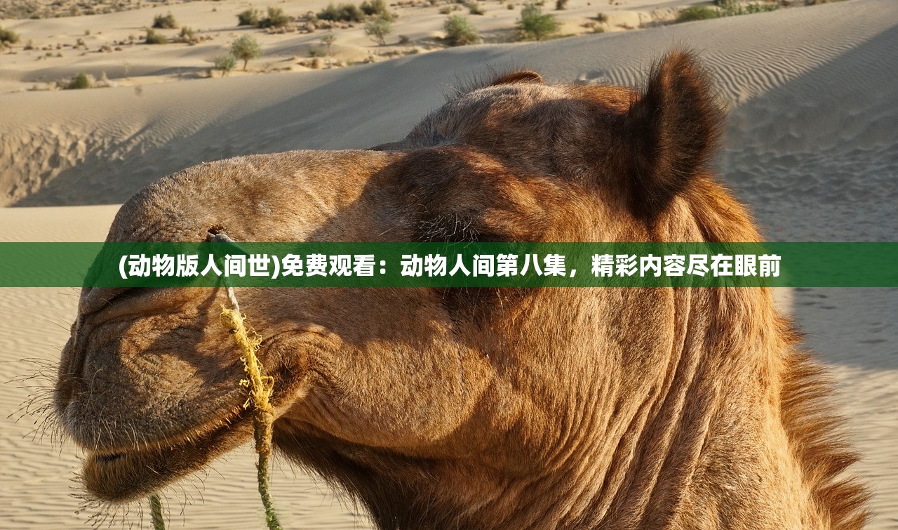 (方舟终极幸存者手游下载)方舟终极幸存者手游，生存与挑战的极致体验