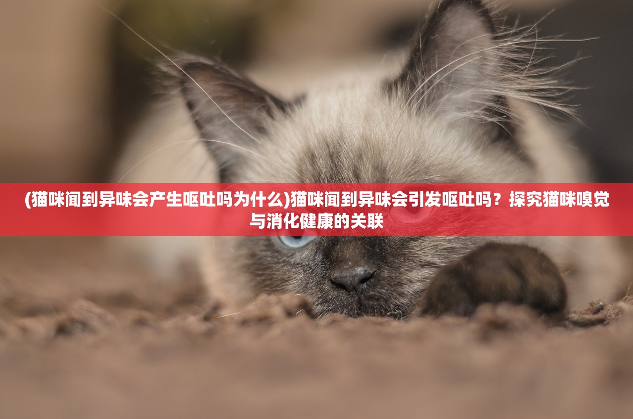 (猫咪闻到异味会产生呕吐吗为什么)猫咪闻到异味会引发呕吐吗？探究猫咪嗅觉与消化健康的关联