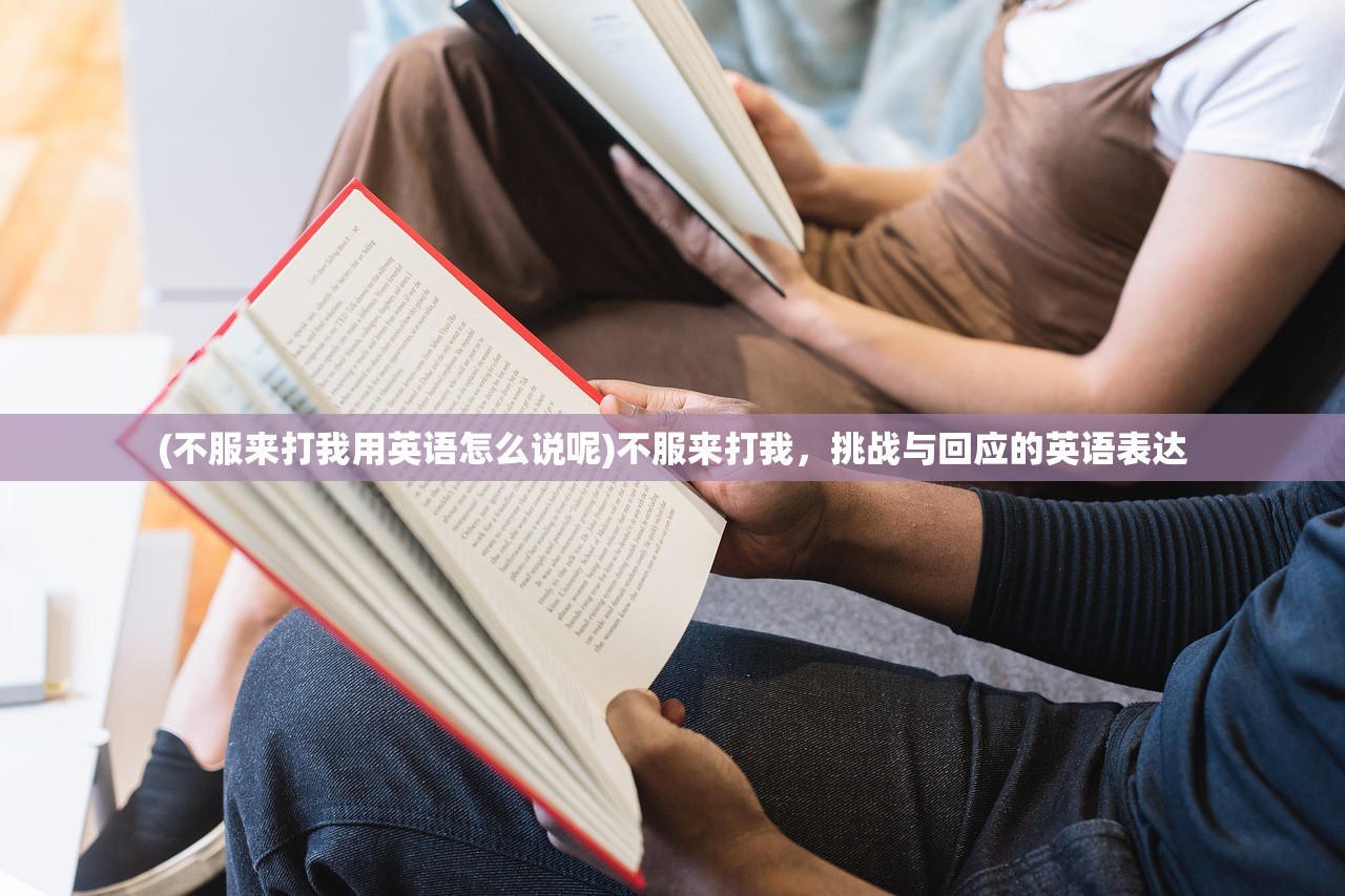 (不服来打我用英语怎么说呢)不服来打我，挑战与回应的英语表达