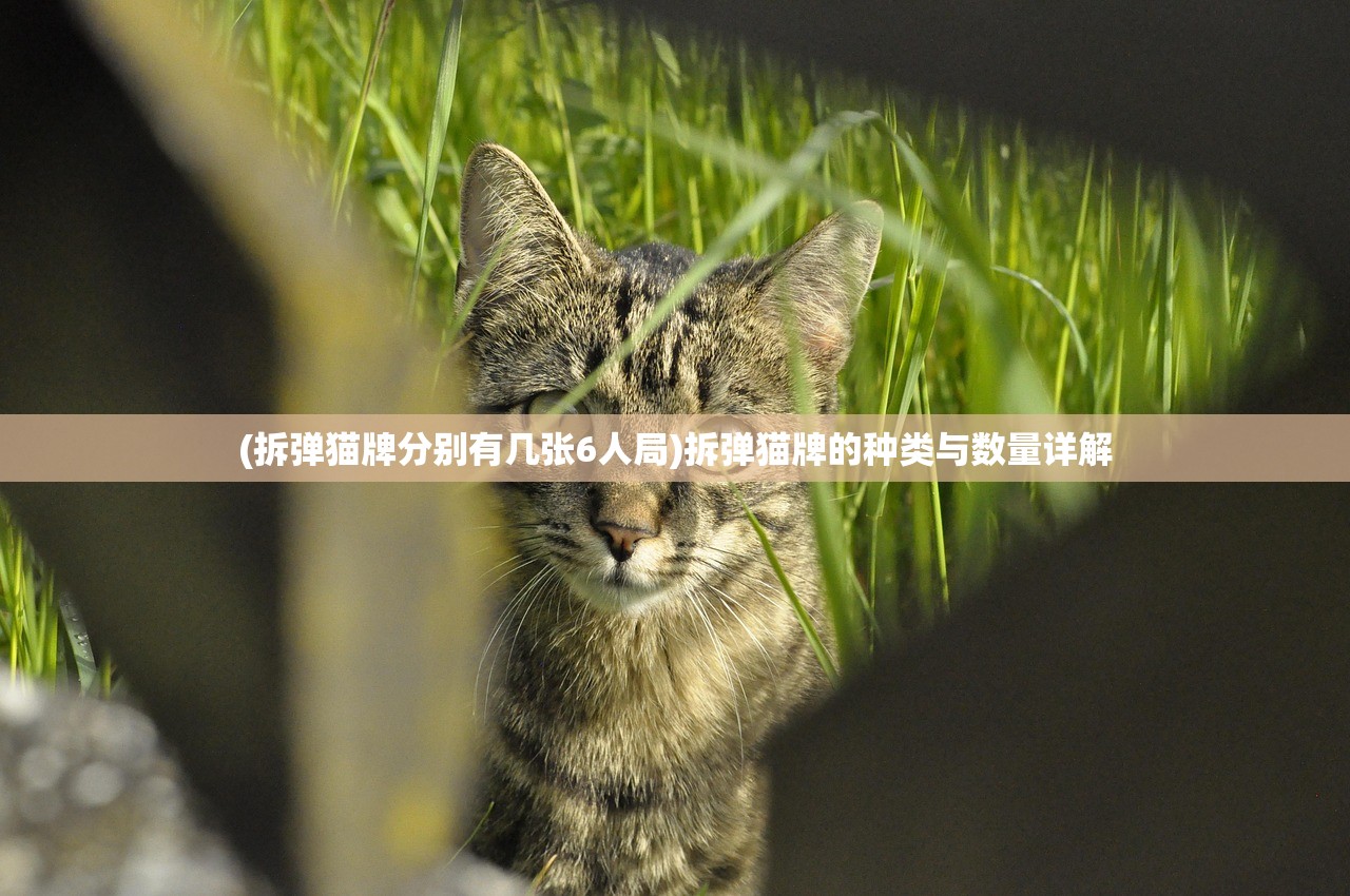 (拆弹猫牌分别有几张6人局)拆弹猫牌的种类与数量详解