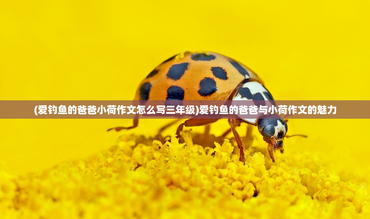 (爱钓鱼的爸爸小荷作文怎么写三年级)爱钓鱼的爸爸与小荷作文的魅力