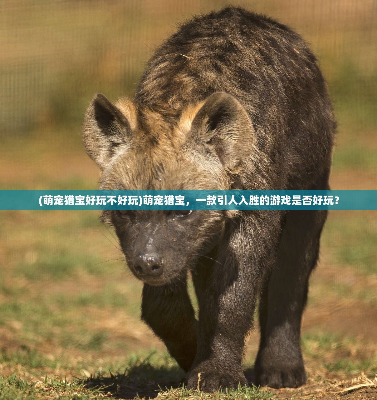 (文明与众神手游礼包码)文明与众神手游，一场跨越时空的文明探索之旅