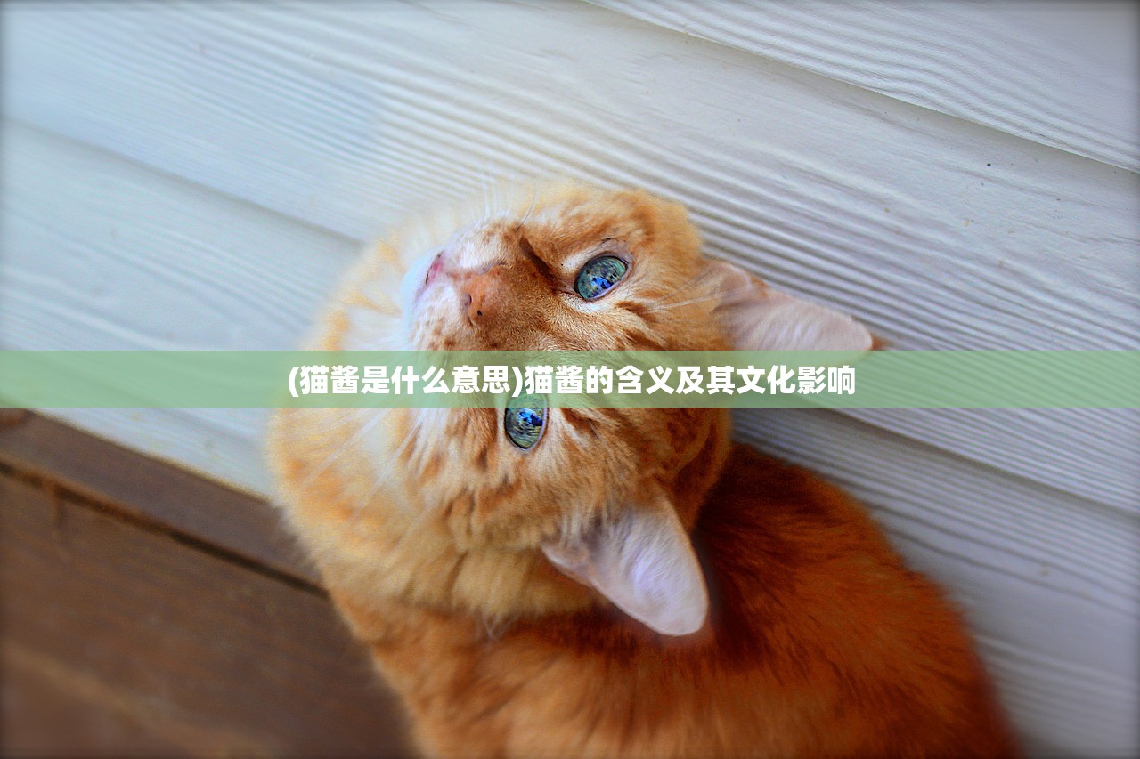 (猫酱是什么意思)猫酱的含义及其文化影响