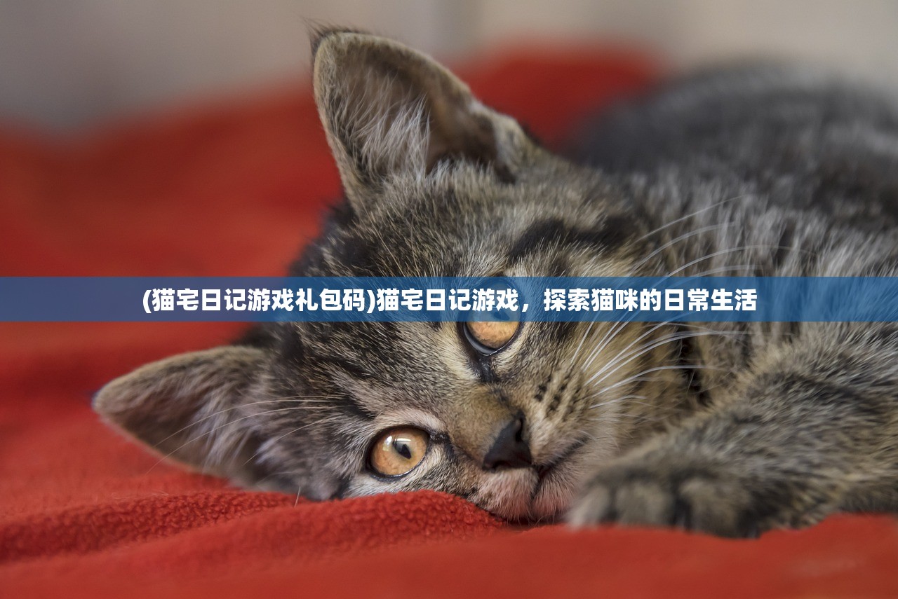 (猫宅日记游戏礼包码)猫宅日记游戏，探索猫咪的日常生活