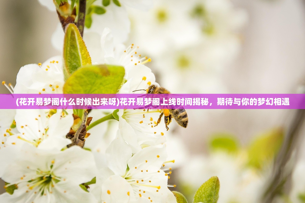 (花开易梦阁什么时候出来呀)花开易梦阁上线时间揭秘，期待与你的梦幻相遇