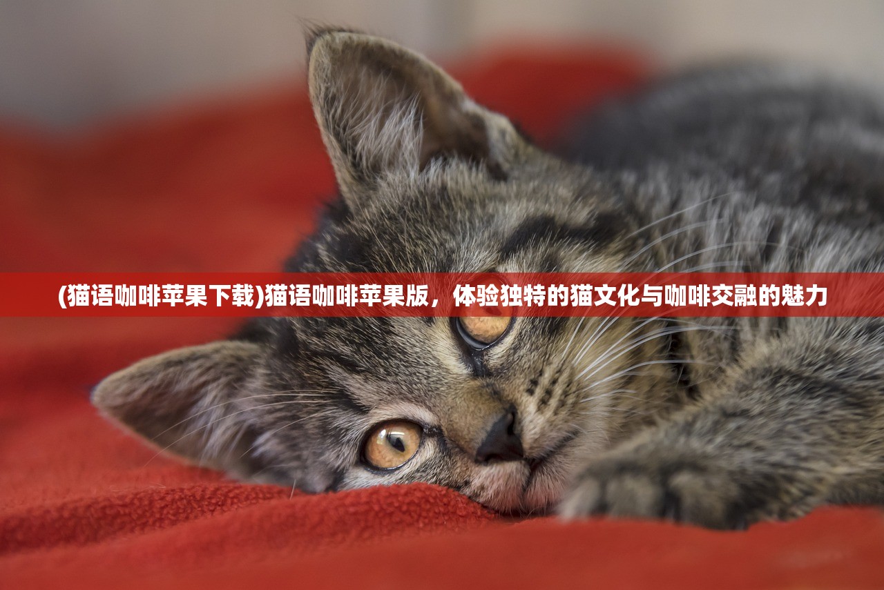 (猫语咖啡苹果下载)猫语咖啡苹果版，体验独特的猫文化与咖啡交融的魅力