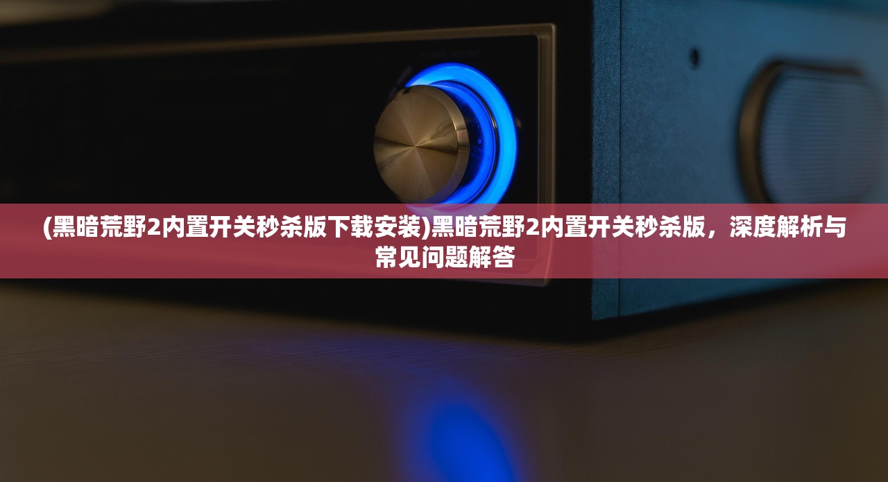 (黑暗荒野2内置开关秒杀版下载安装)黑暗荒野2内置开关秒杀版，深度解析与常见问题解答