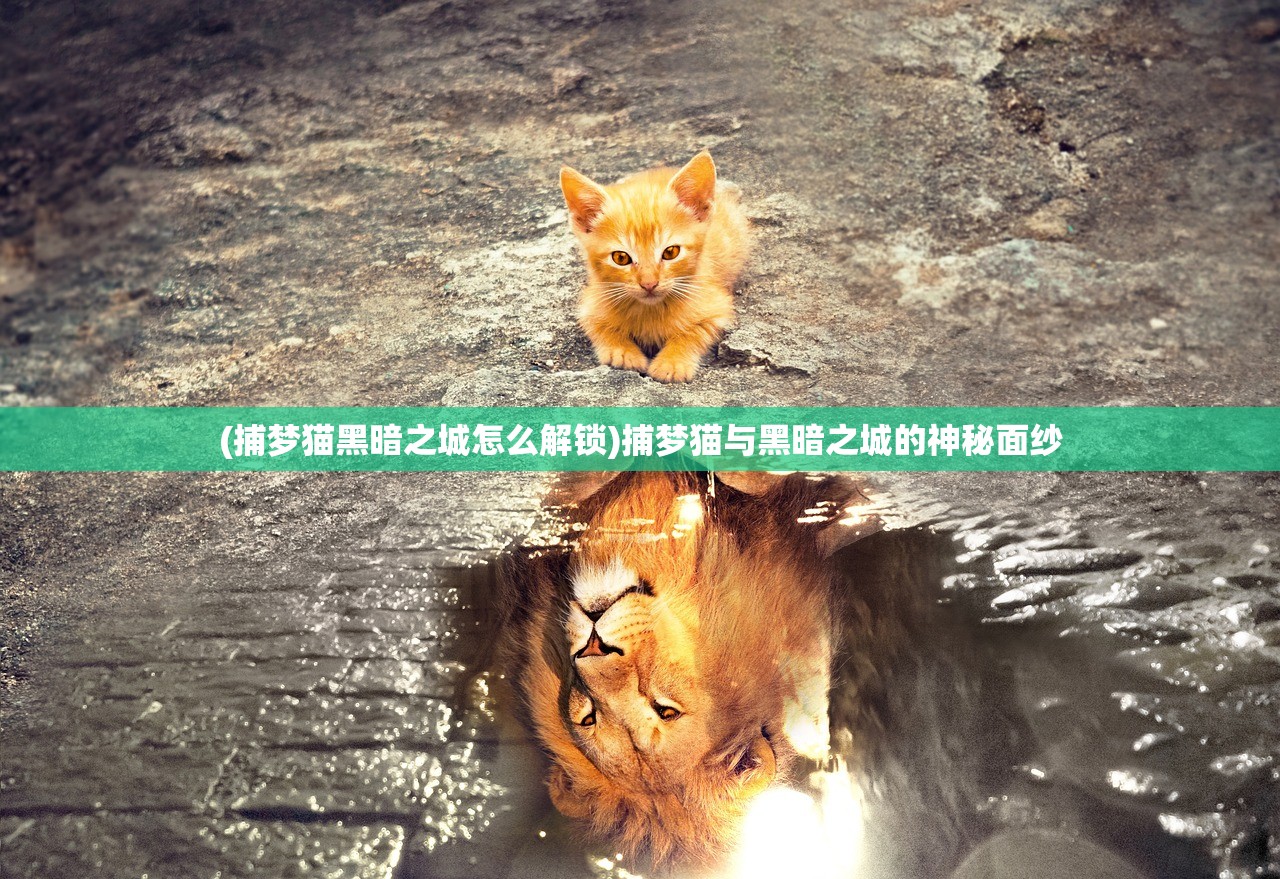 (捕梦猫黑暗之城怎么解锁)捕梦猫与黑暗之城的神秘面纱