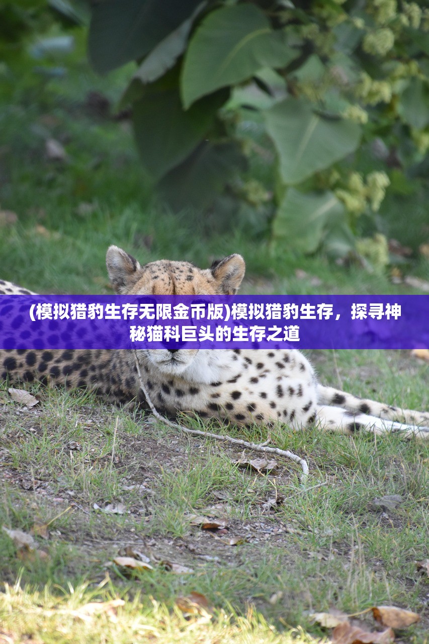 (模拟猎豹生存无限金币版)模拟猎豹生存，探寻神秘猫科巨头的生存之道