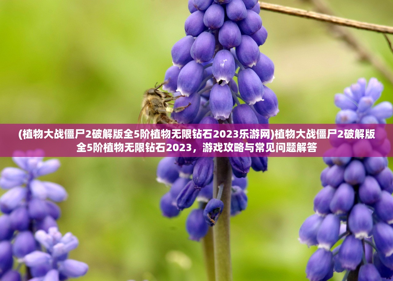 (植物大战僵尸2破解版全5阶植物无限钻石2023乐游网)植物大战僵尸2破解版全5阶植物无限钻石2023，游戏攻略与常见问题解答