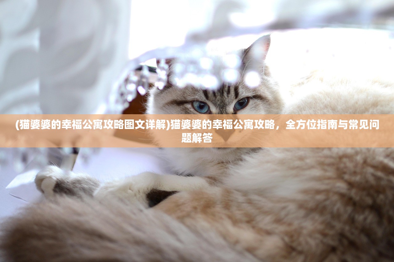 (猫婆婆的幸福公寓攻略图文详解)猫婆婆的幸福公寓攻略，全方位指南与常见问题解答