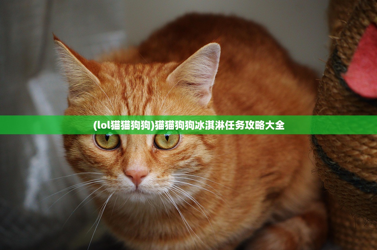 (lol猫猫狗狗)猫猫狗狗冰淇淋任务攻略大全