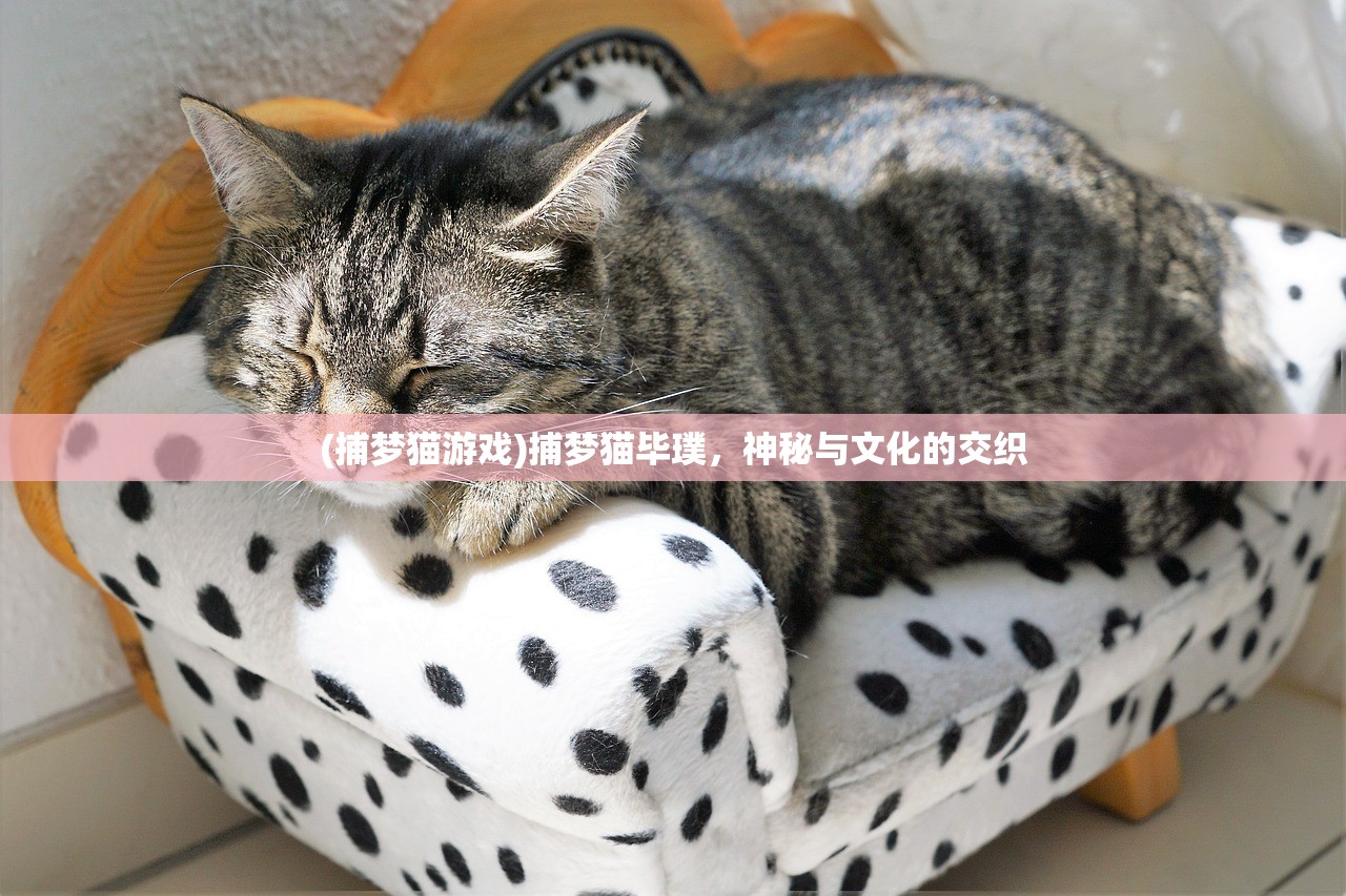 (捕梦猫游戏)捕梦猫毕璞，神秘与文化的交织