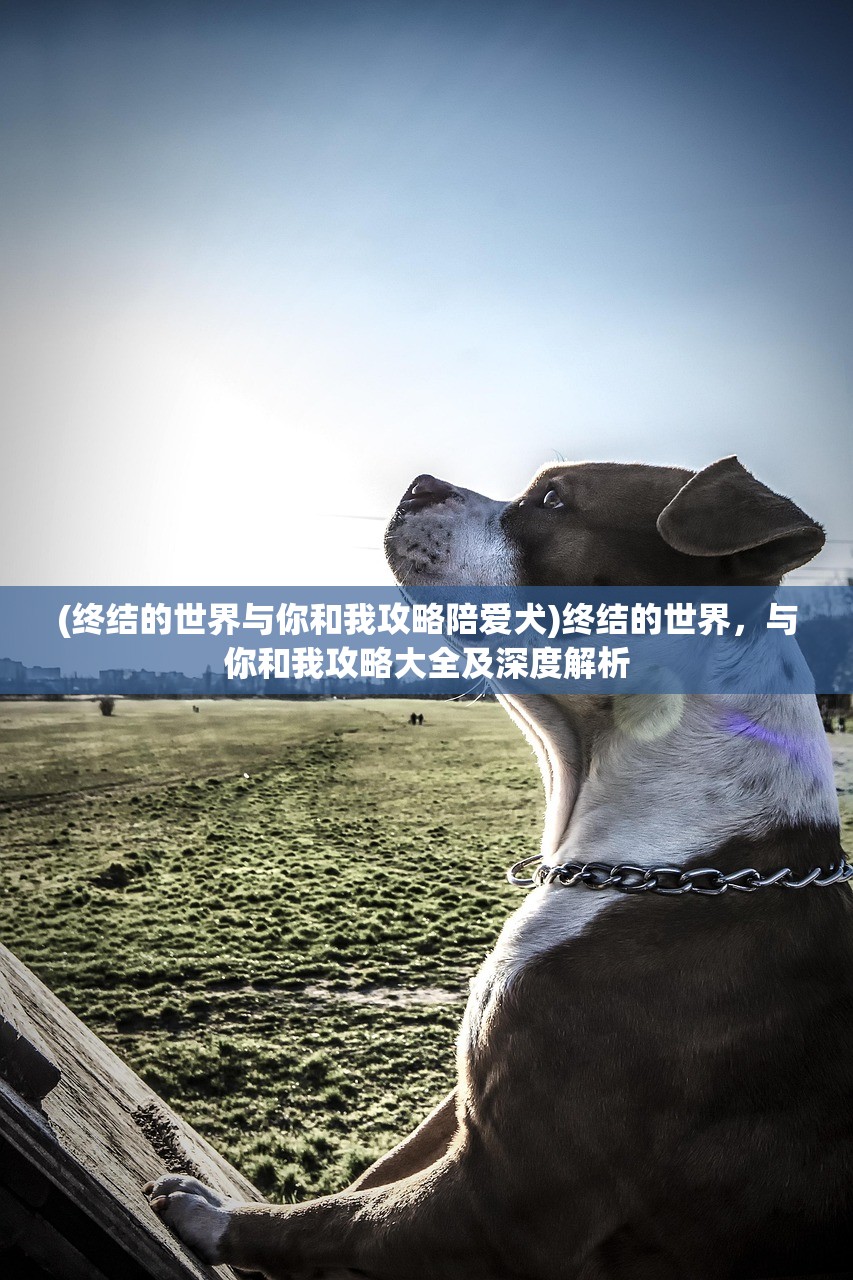 (终结的世界与你和我攻略陪爱犬)终结的世界，与你和我攻略大全及深度解析