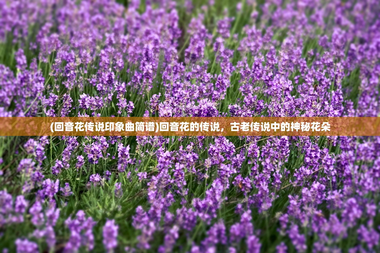 (回音花传说印象曲简谱)回音花的传说，古老传说中的神秘花朵